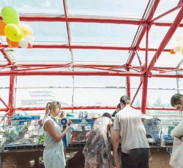 Банкомат банка Глобэкс по адресу ул. Революционная, д. 52, ТК «Пеликан»